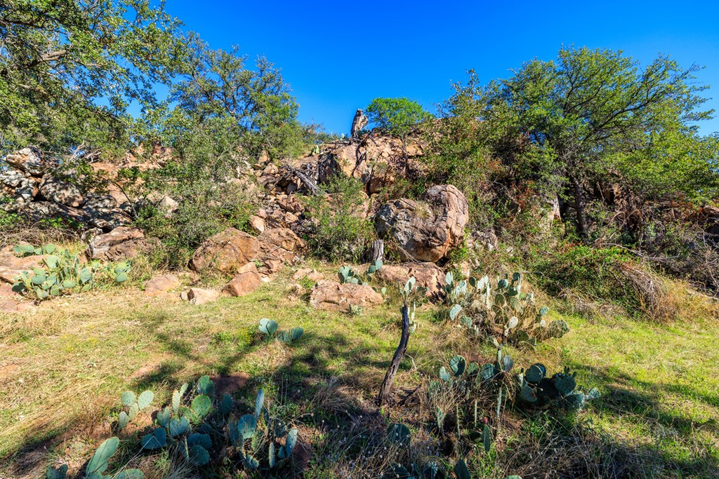 15528 Eaton Cemetery Rd