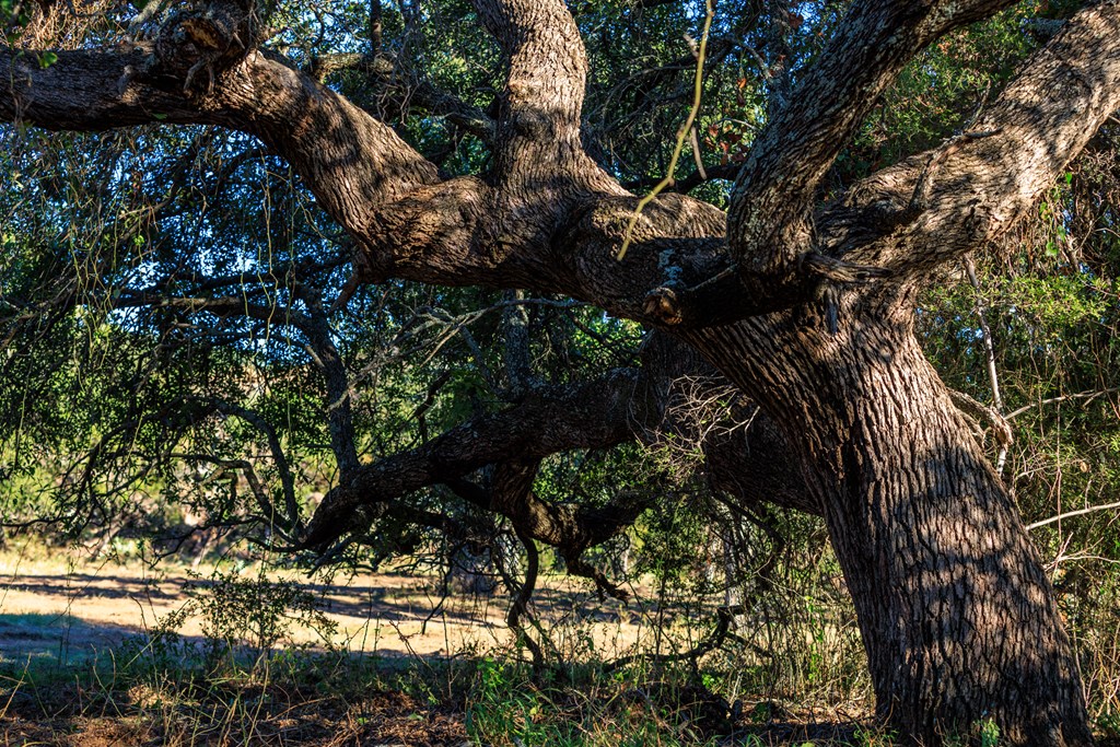 15528 Eaton Cemetery Rd