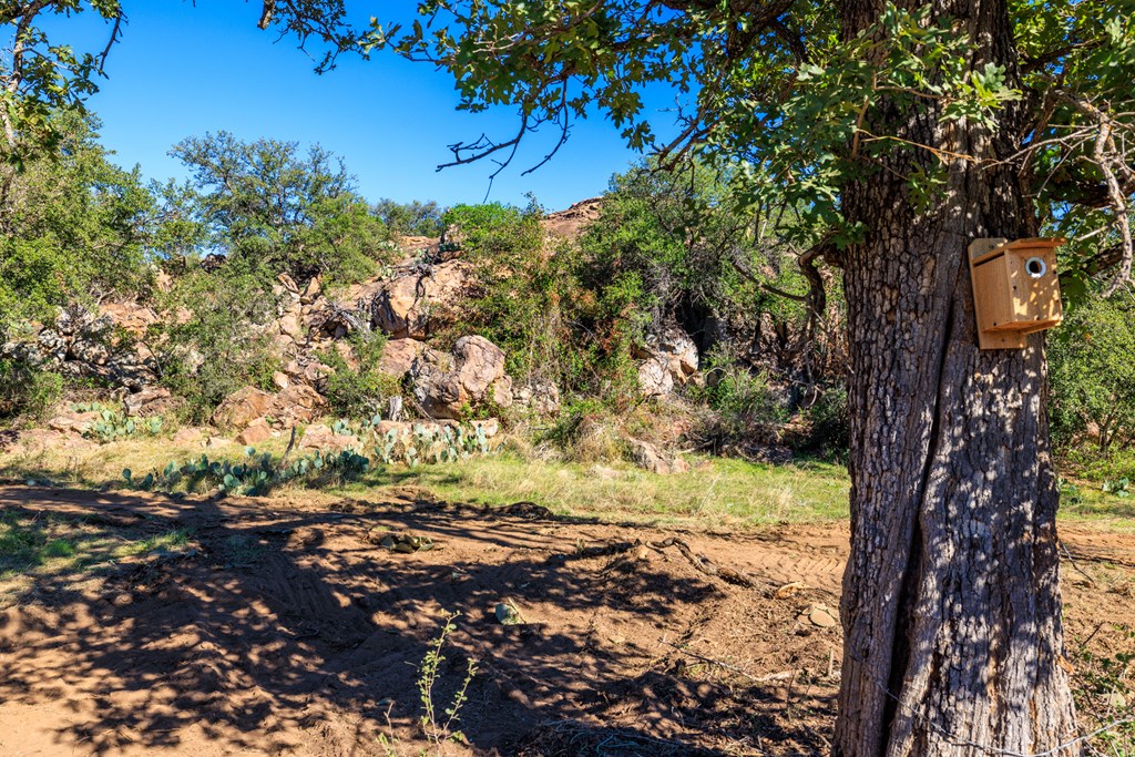 15528 Eaton Cemetery Rd