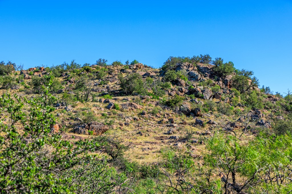 15528 Eaton Cemetery Rd