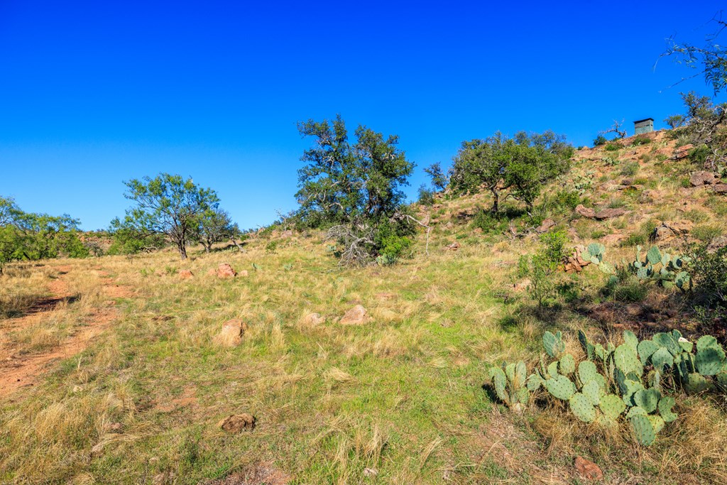 15528 Eaton Cemetery Rd