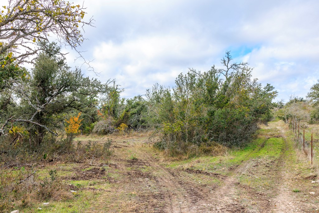 4411 Doss Spring Creek Rd