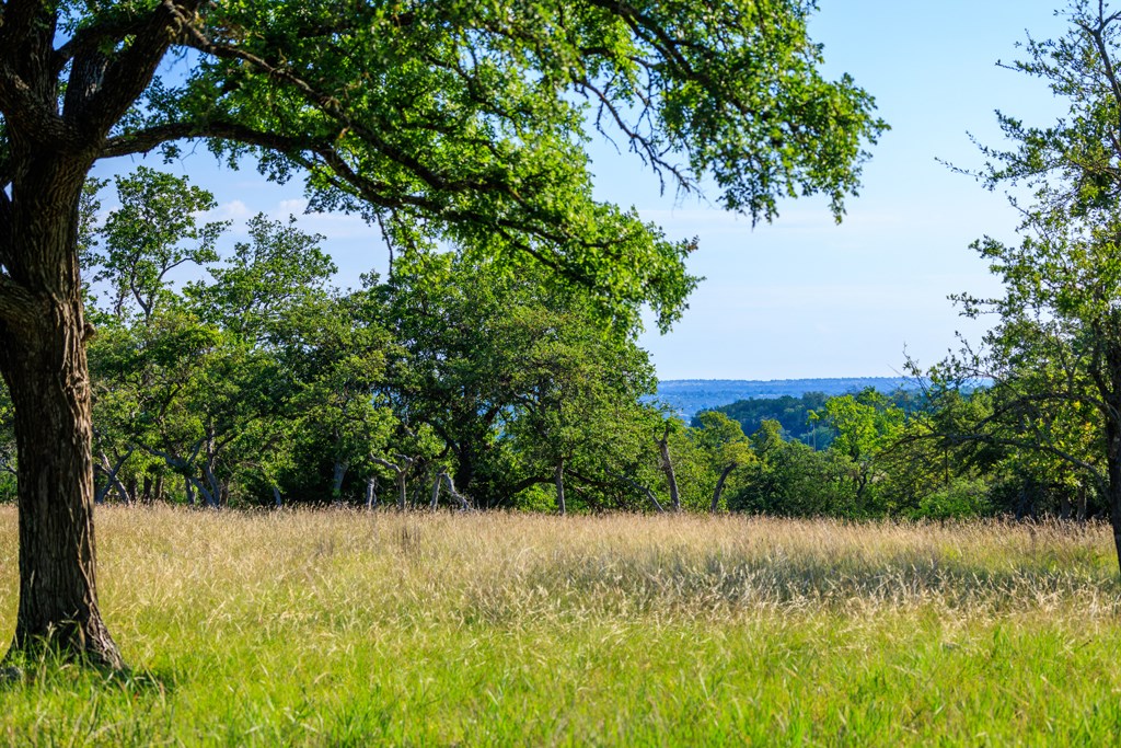 481 Living Water Ranch Rd.