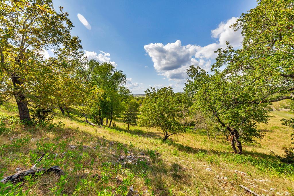 481 Living Water Ranch Rd.