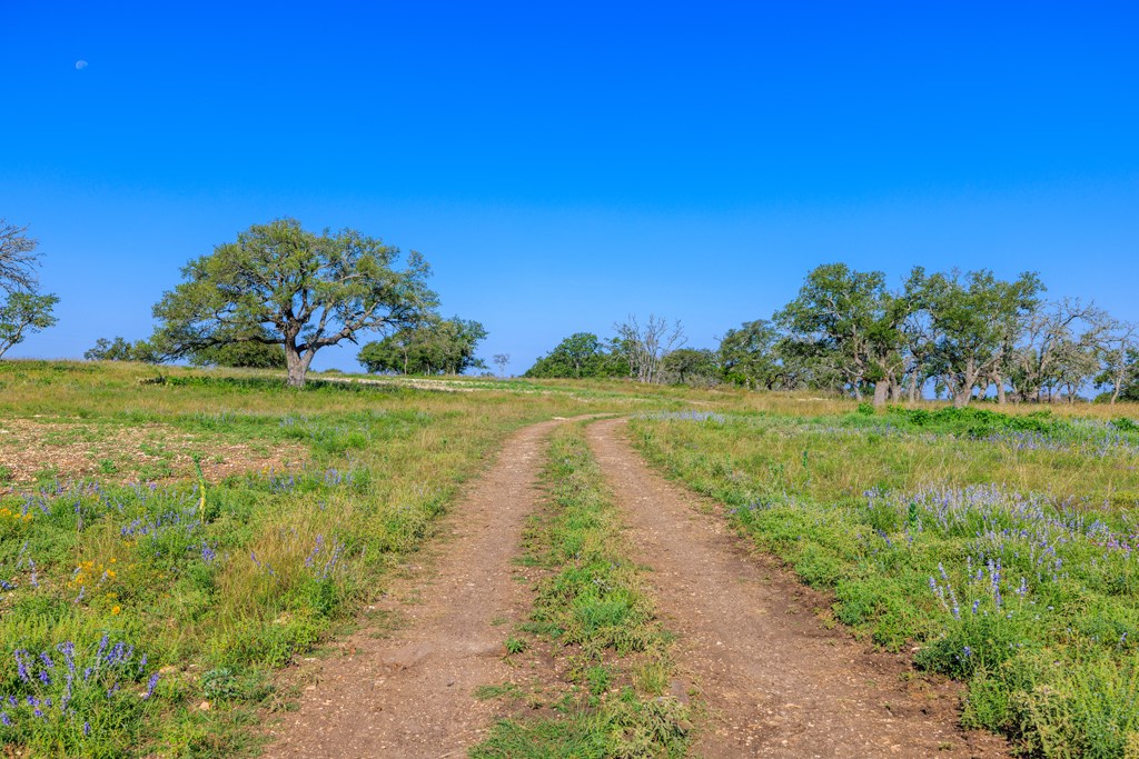 481 Living Water Ranch Rd.
