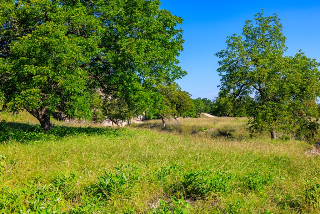481 Living Water Ranch Rd.