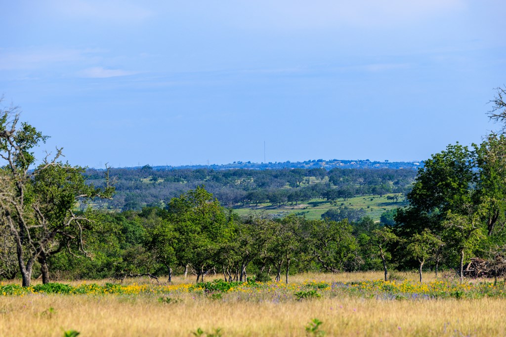 481 Living Water Ranch Rd.