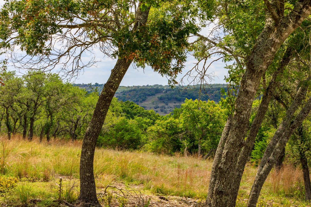 Lot 50 Maenius Rd