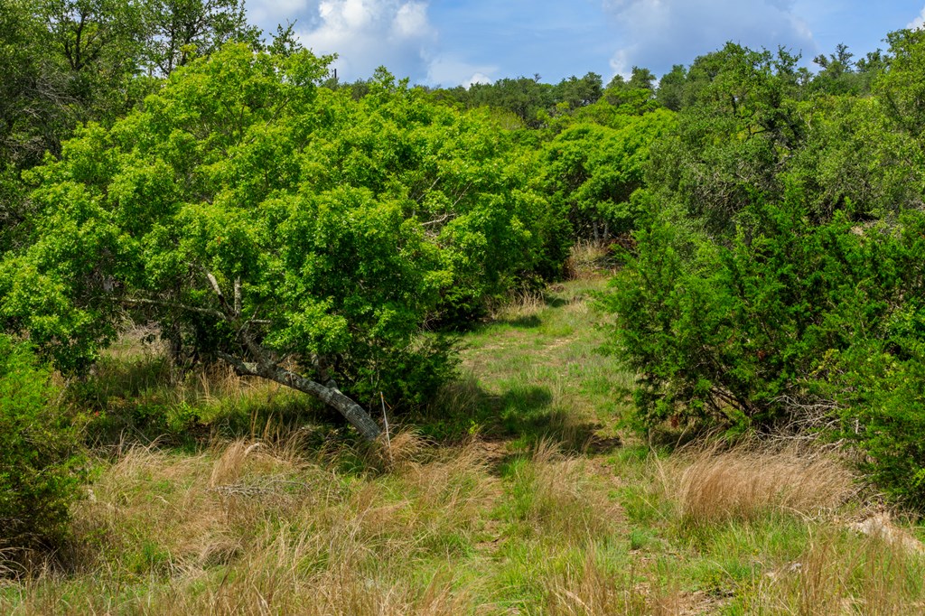 Lot 50 Maenius Rd