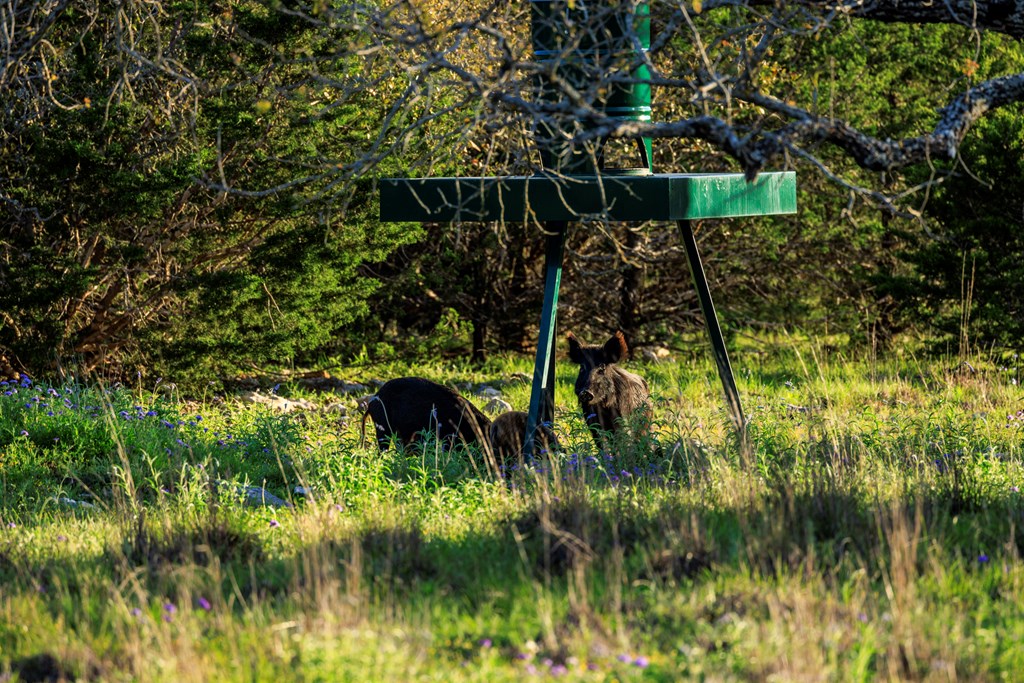 485 W Living Water Ranch Rd.