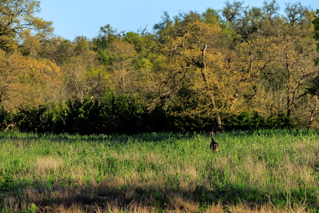 485 W Living Water Ranch Rd.