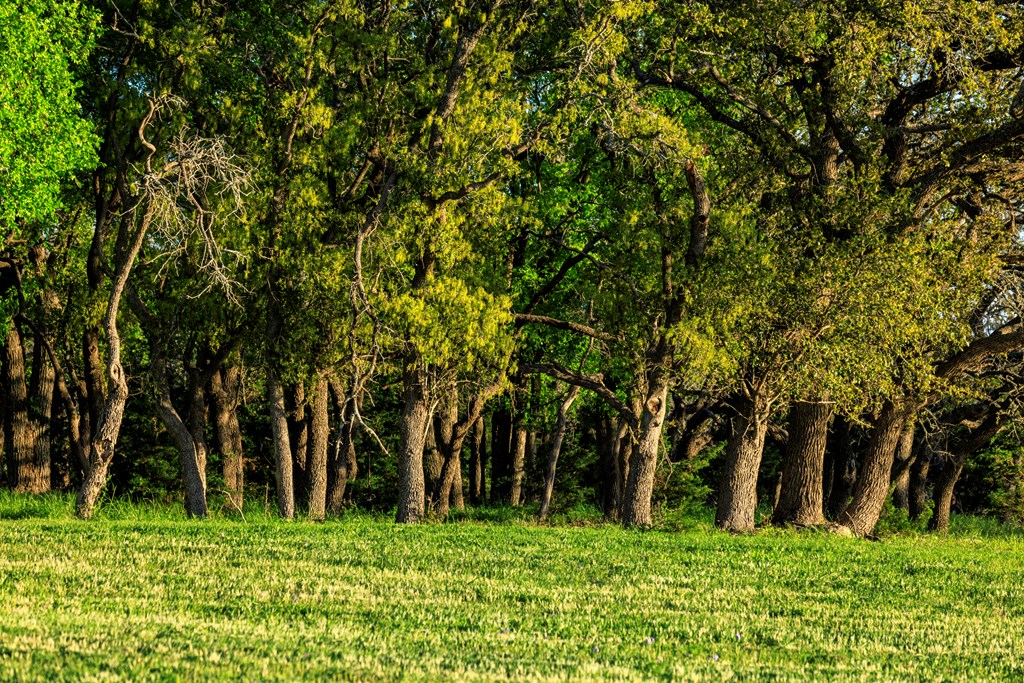 485 W Living Water Ranch Rd.