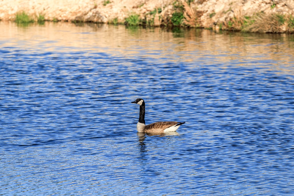 485 W Living Water Ranch Rd.