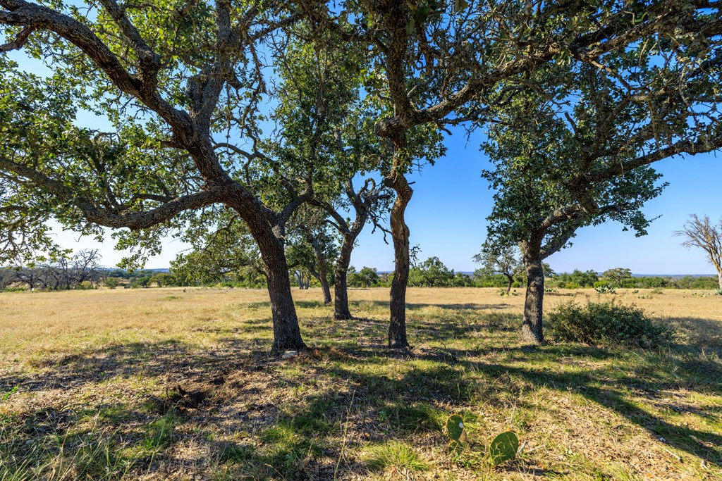 658 Thriving Oak Dr.