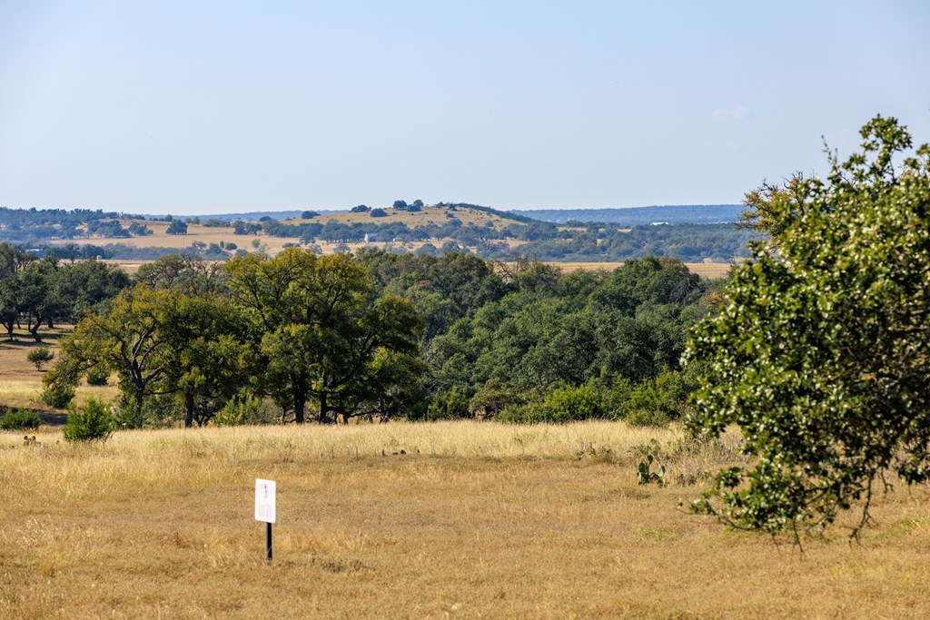 658 Thriving Oak Dr.