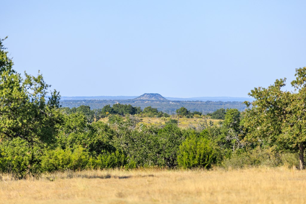 658 Thriving Oak Dr.