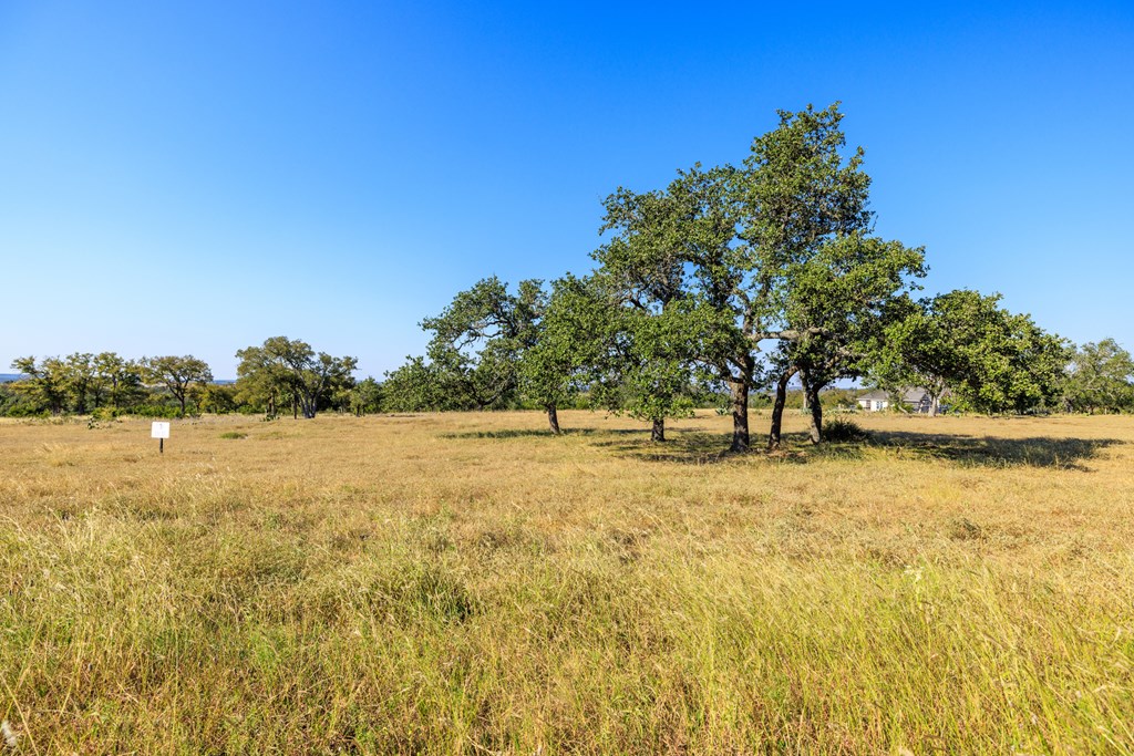 658 Thriving Oak Dr.