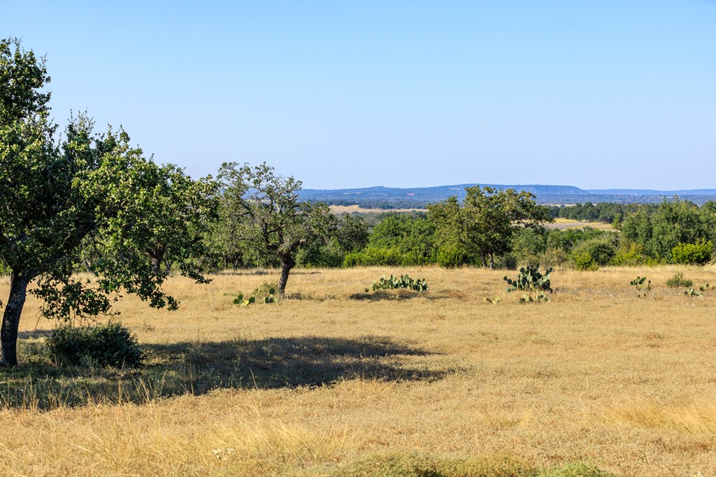 658 Thriving Oak Dr.