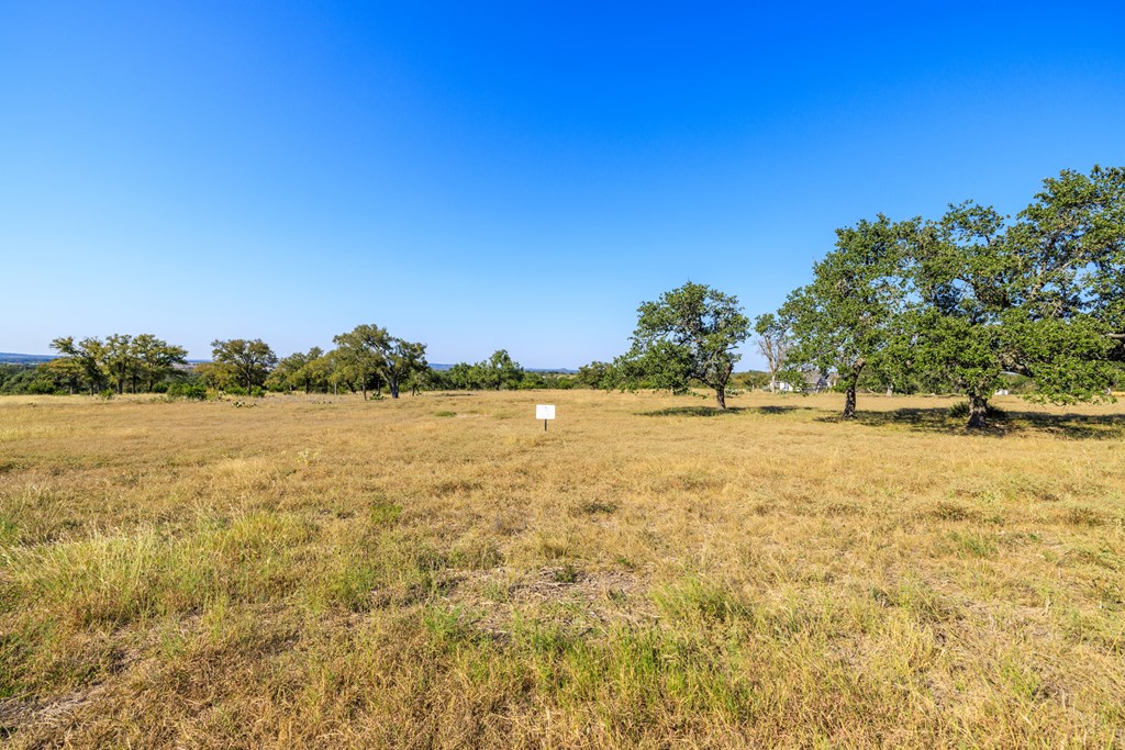 658 Thriving Oak Dr.