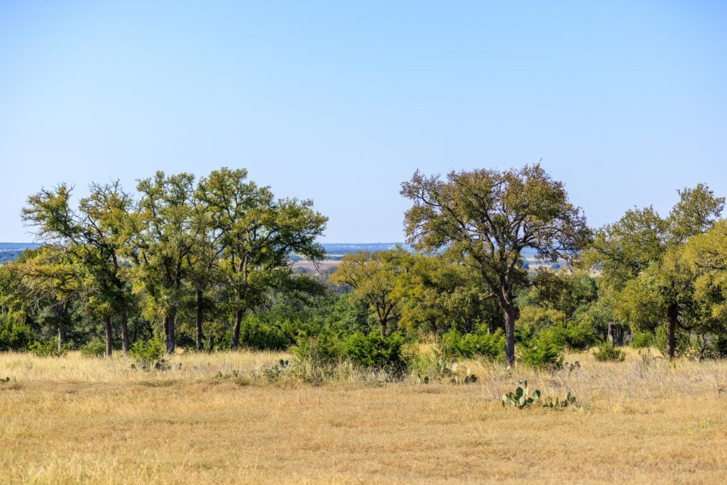 658 Thriving Oak Dr.