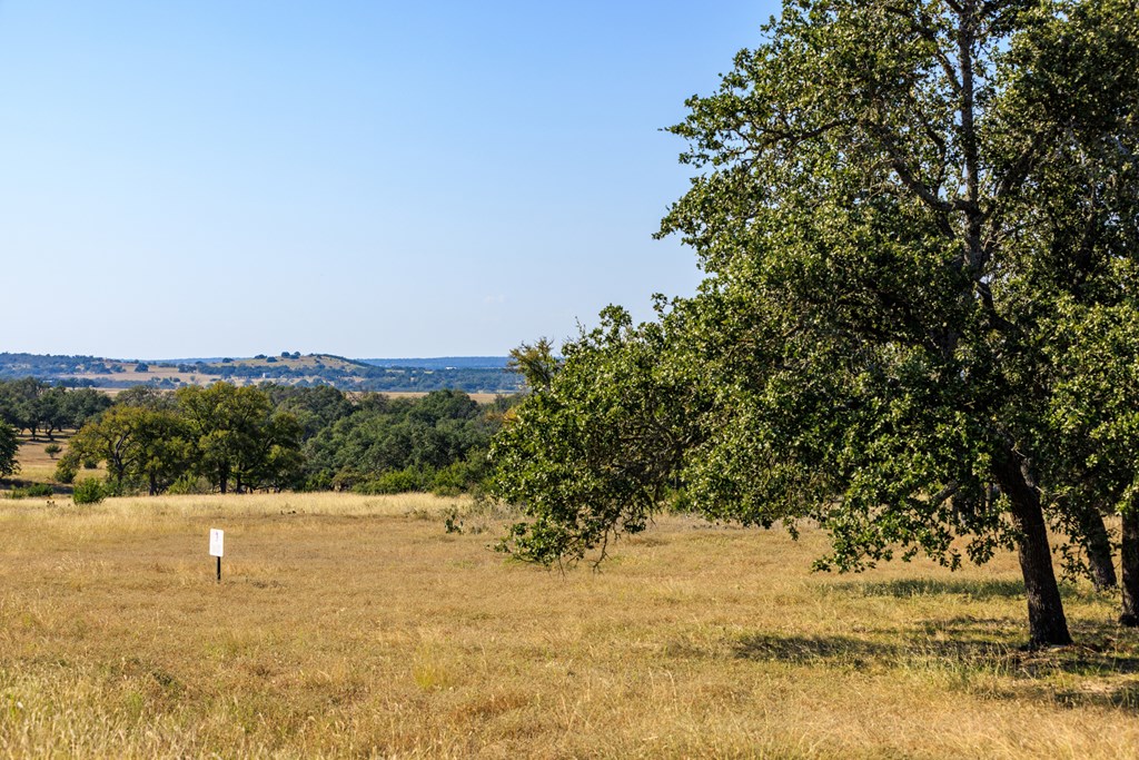 658 Thriving Oak Dr.