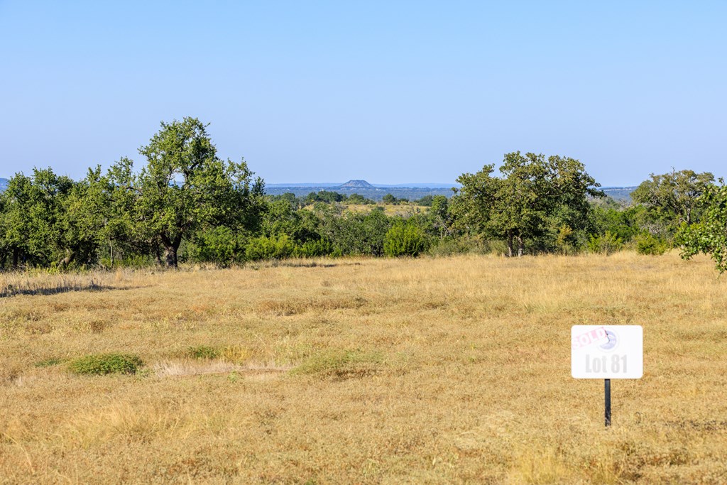 658 Thriving Oak Dr.