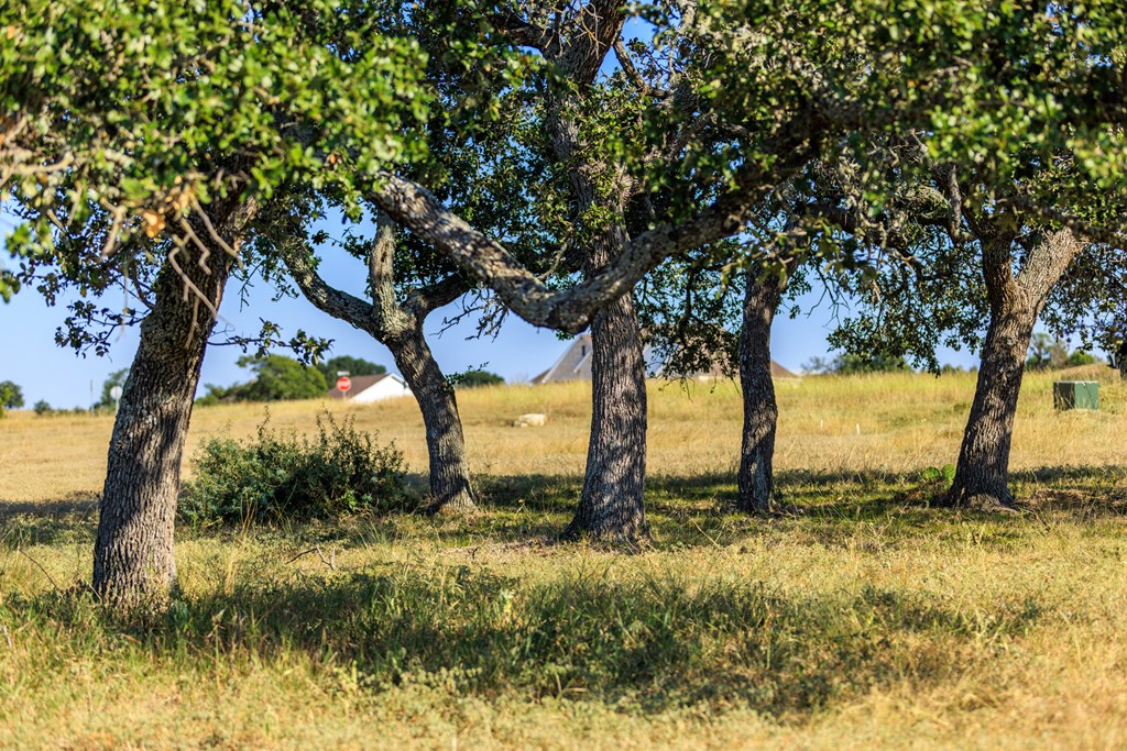 658 Thriving Oak Dr.