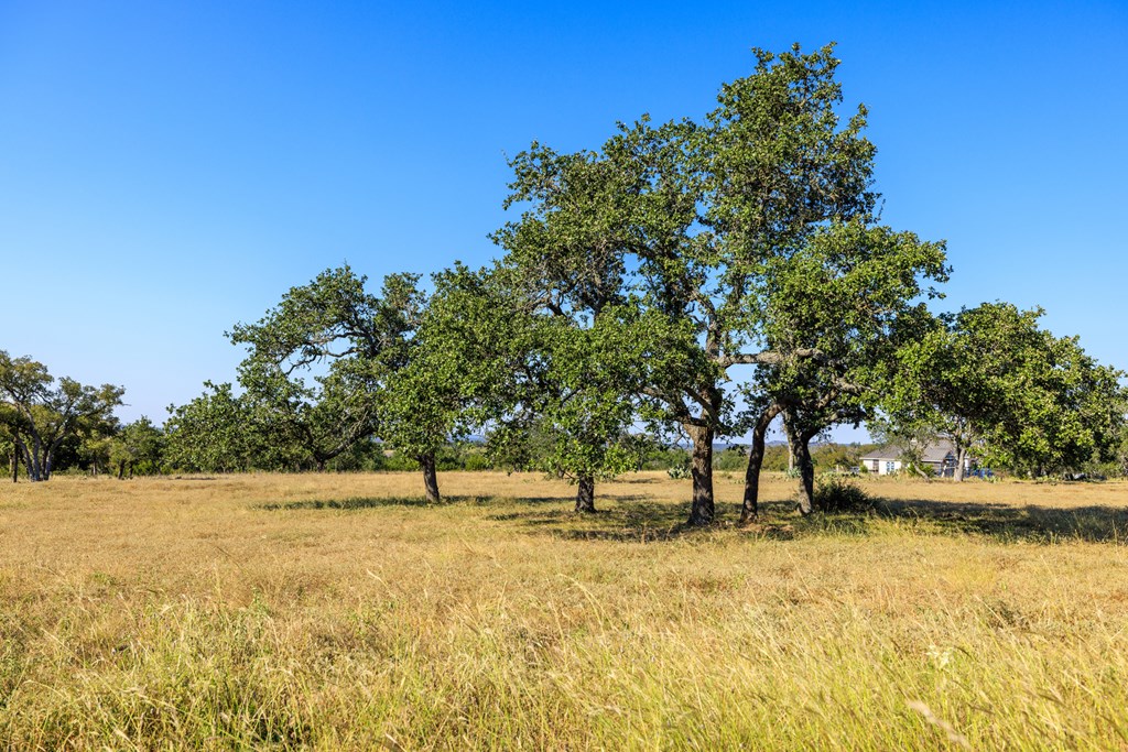 658 Thriving Oak Dr.