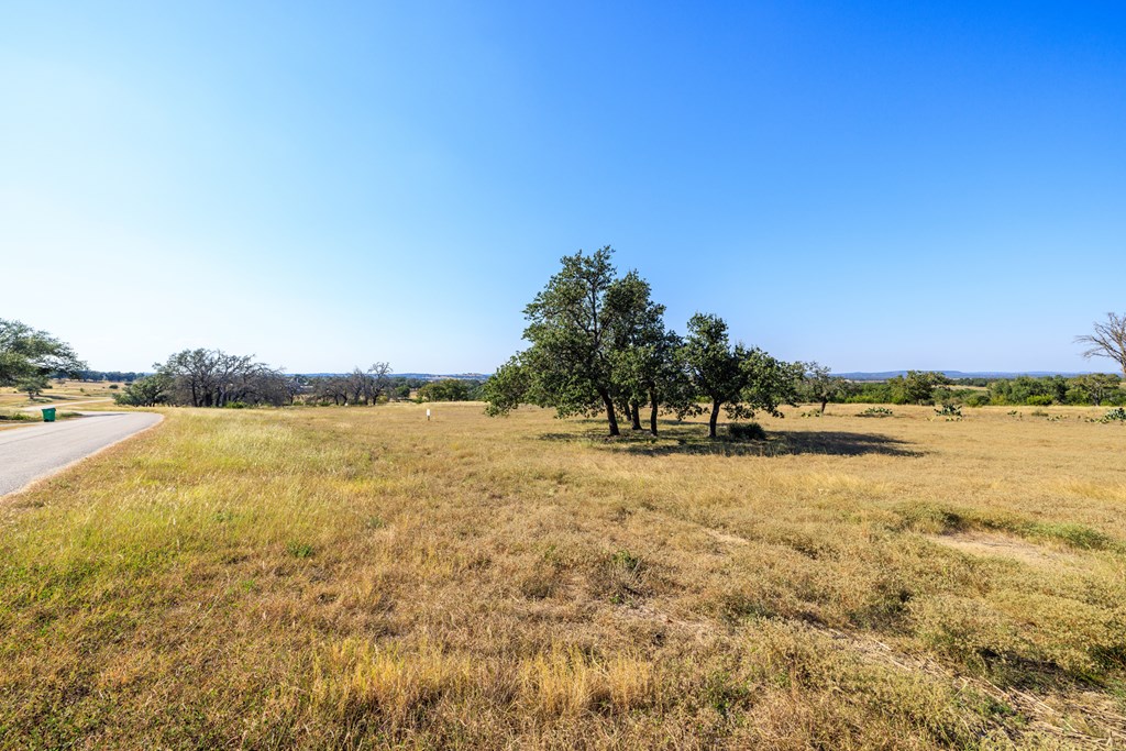 658 Thriving Oak Dr.