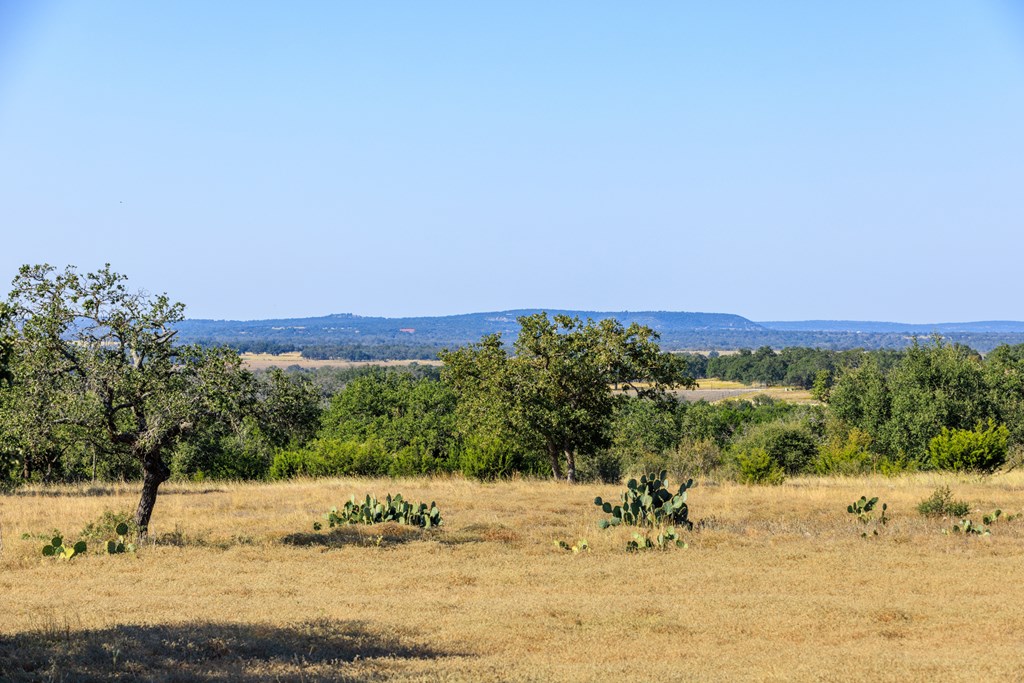 658 Thriving Oak Dr.