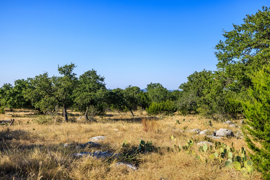 658 Thriving Oak Dr.