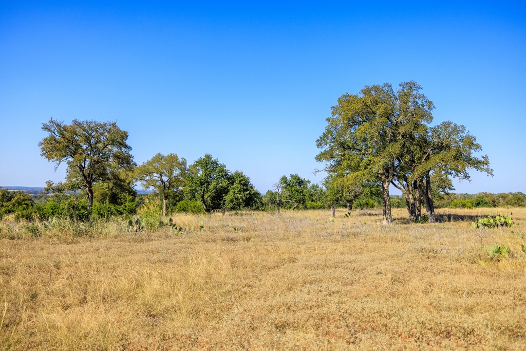 658 Thriving Oak Dr.