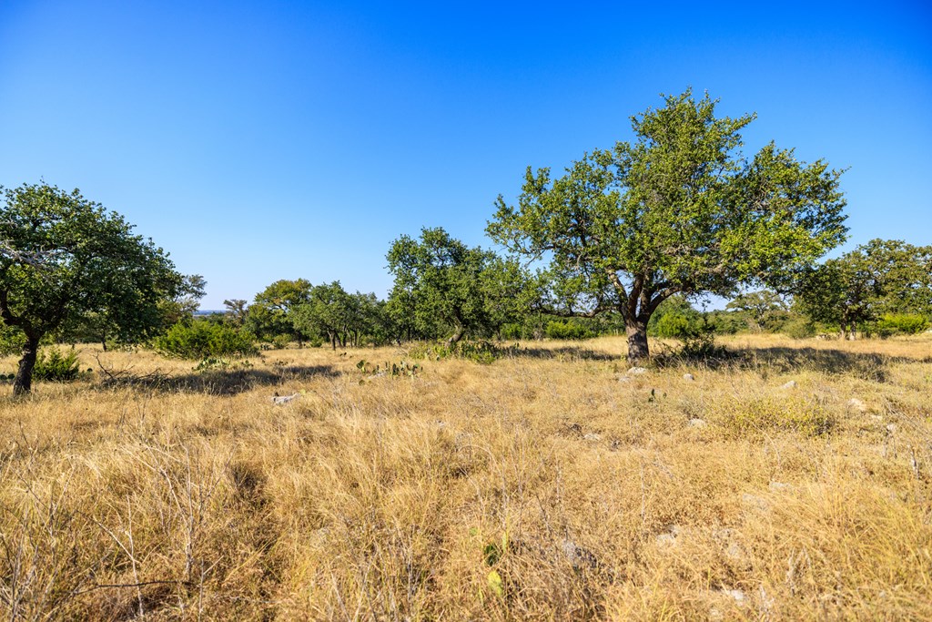 658 Thriving Oak Dr.