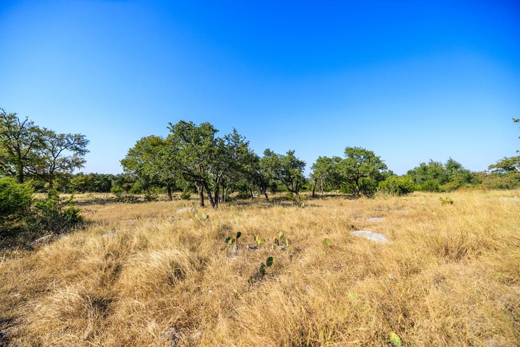 658 Thriving Oak Dr.