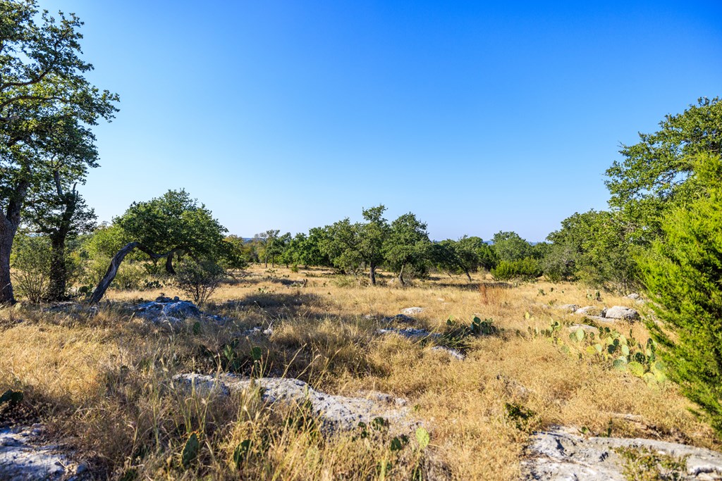 658 Thriving Oak Dr.