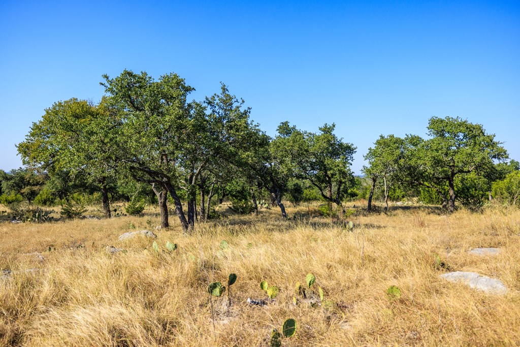 658 Thriving Oak Dr.