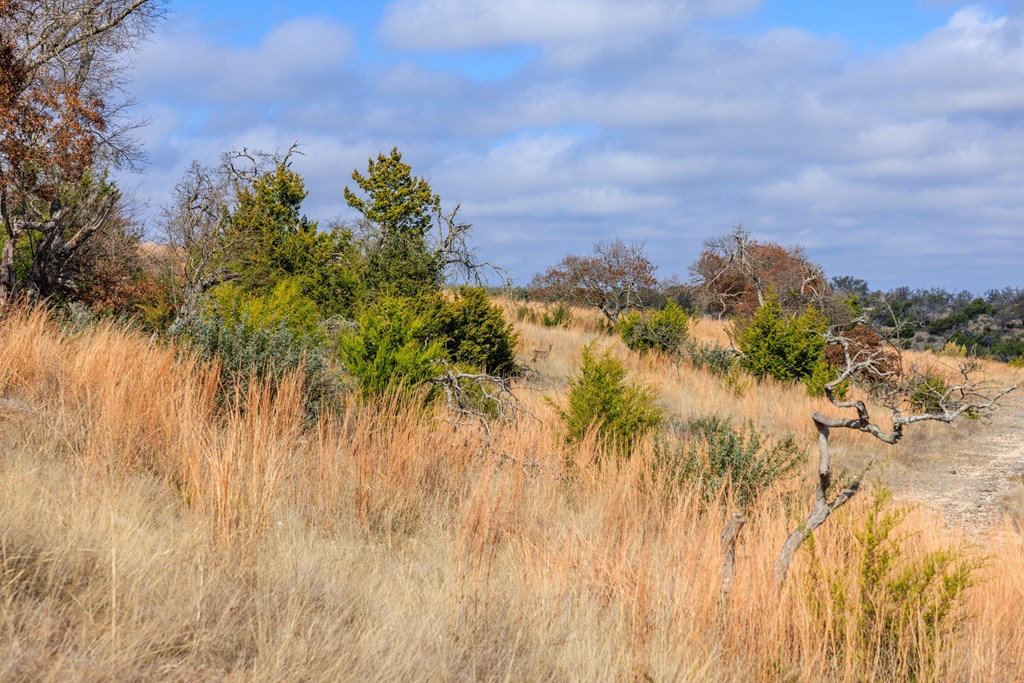 Lot 38 Ridgeline Rd
