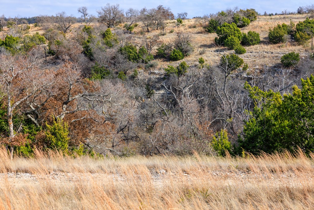 Lot 38 Ridgeline Rd