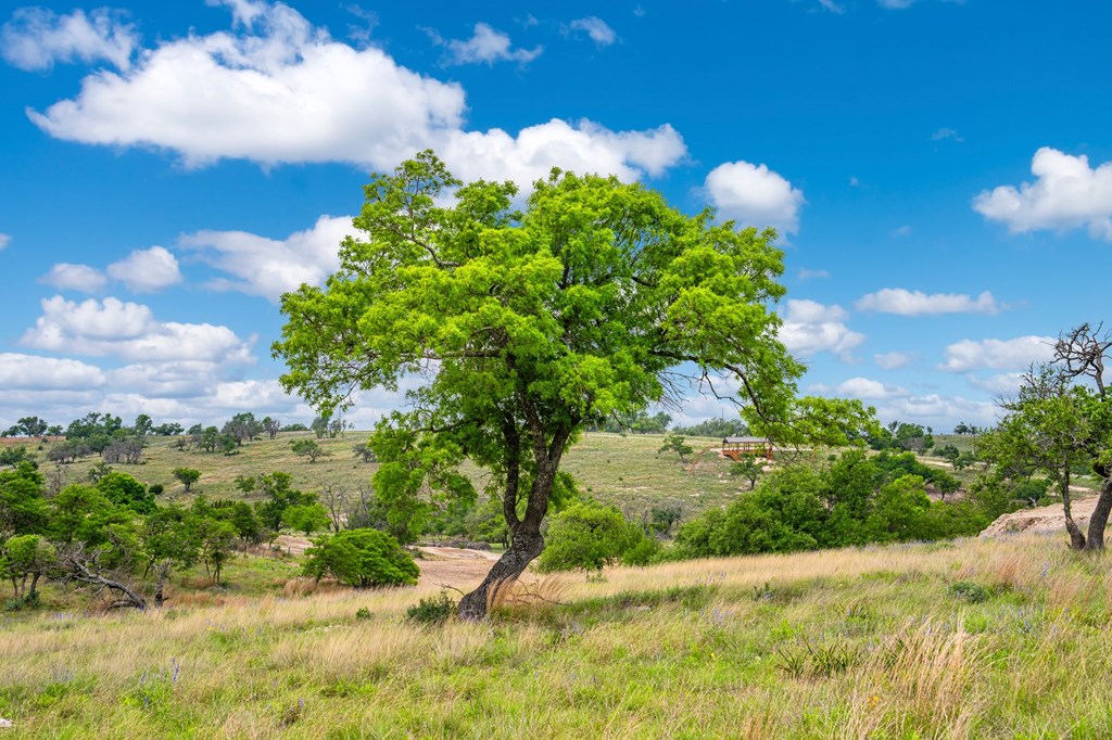 Lot 48 Badger Ridge Rd