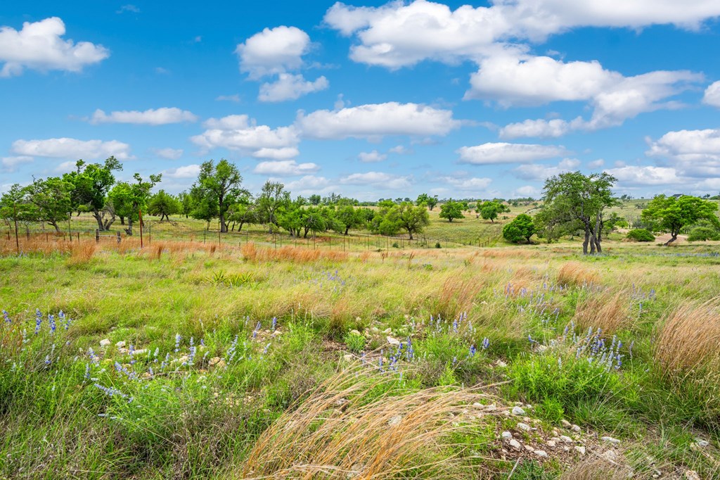 Lot 48 Badger Ridge Rd