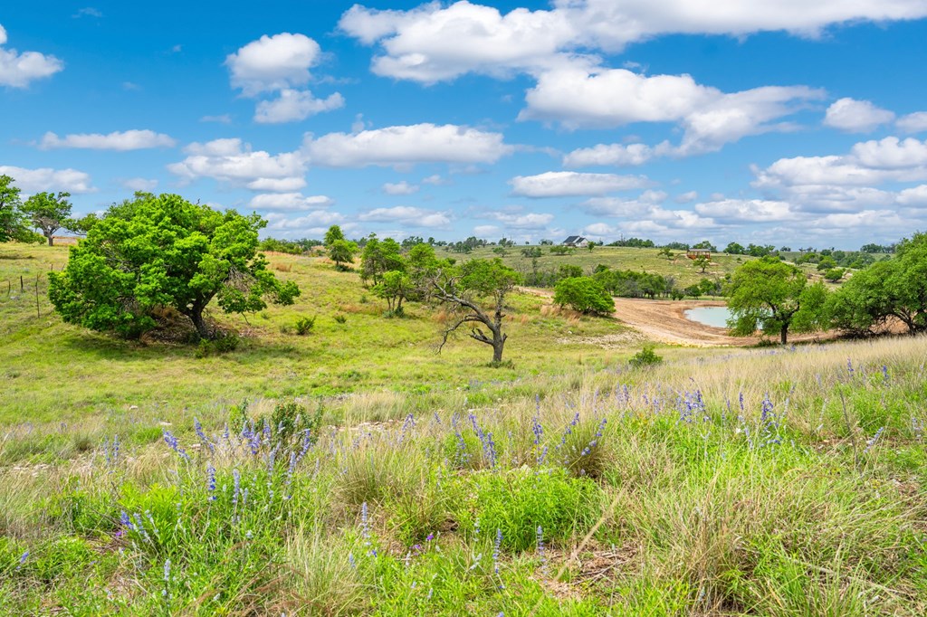Lot 48 Badger Ridge Rd