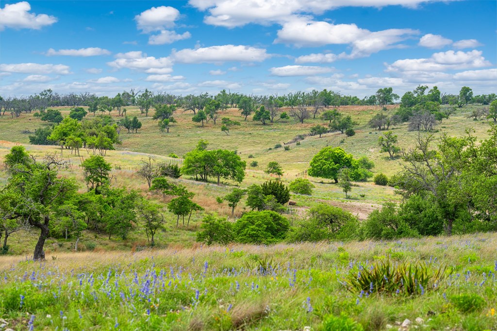 Lot 48 Badger Ridge Rd