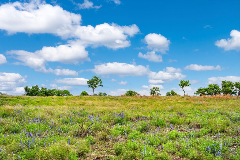 Lot 48 Badger Ridge Rd