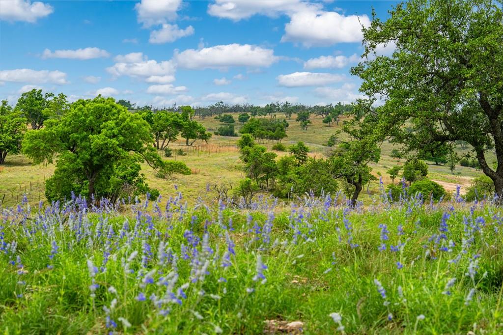 Lot 48 Badger Ridge Rd