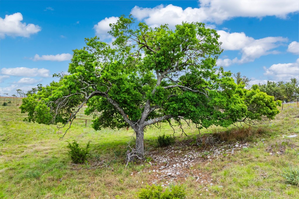 Lot 48 Badger Ridge Rd