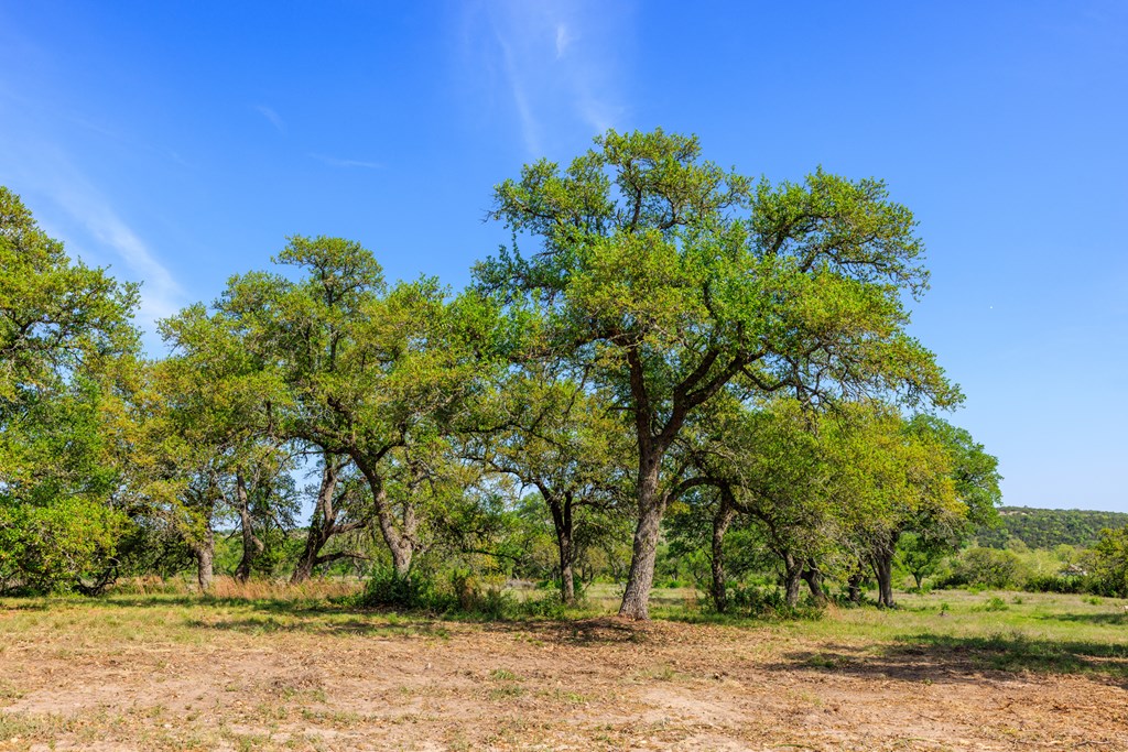 Lot 2 Byrd Ranch Rd