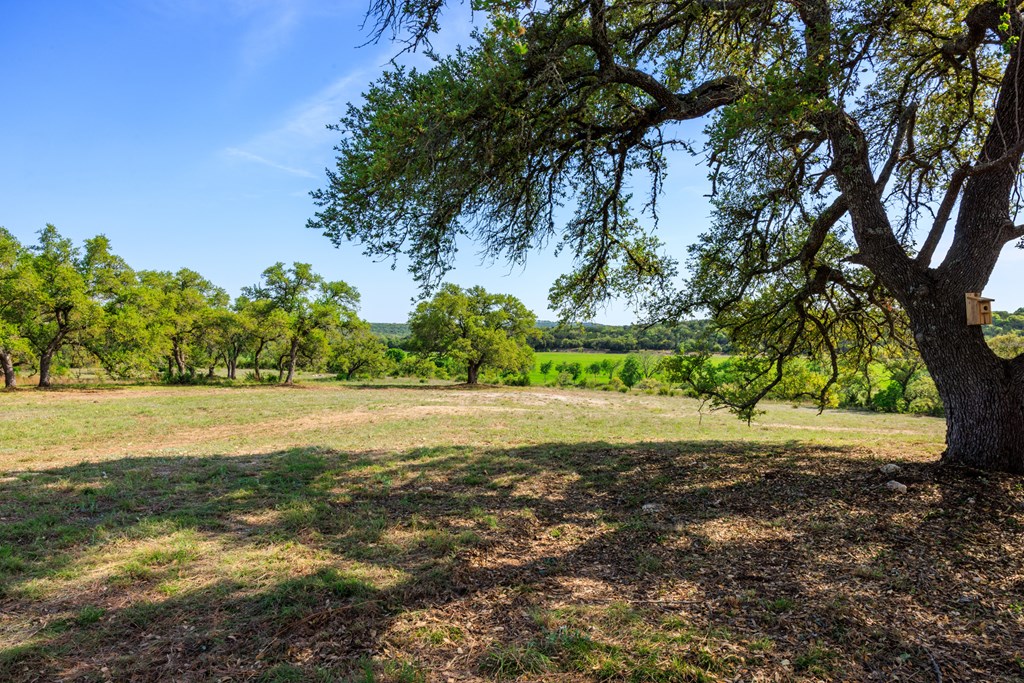 Lot 2 Byrd Ranch Rd