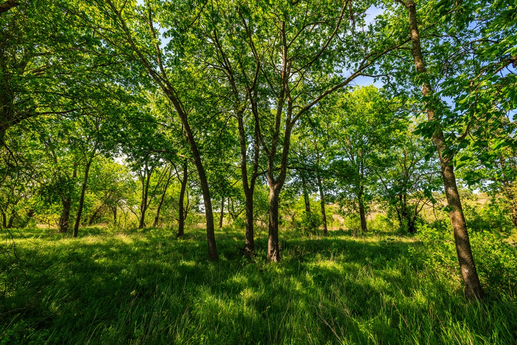 Lot 2 Byrd Ranch Rd