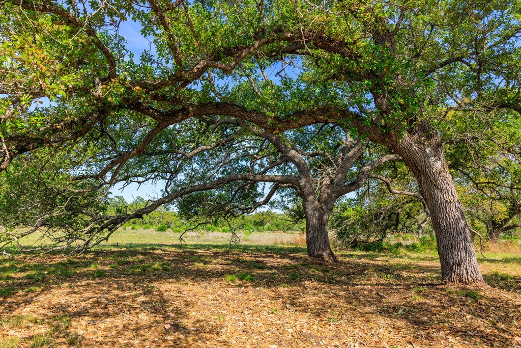 Lot 2 Byrd Ranch Rd