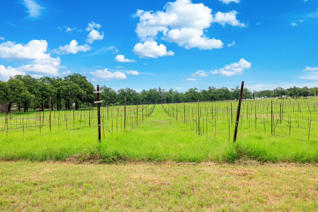 463 Bell Mountain Rd